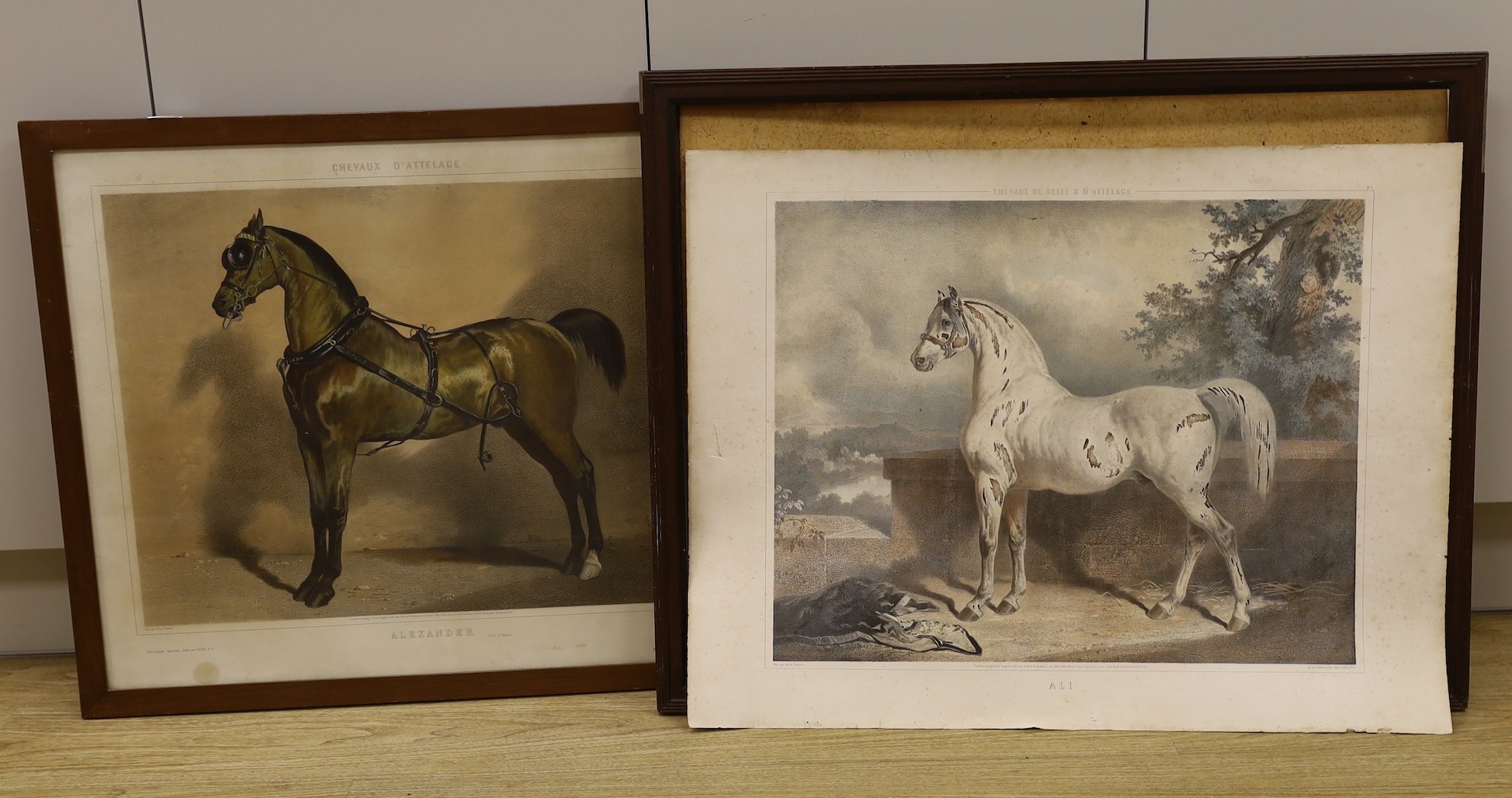 After Dedreux, two equine lithographs, ‘Alexander’ and ‘Ali’, 56 x 67cm